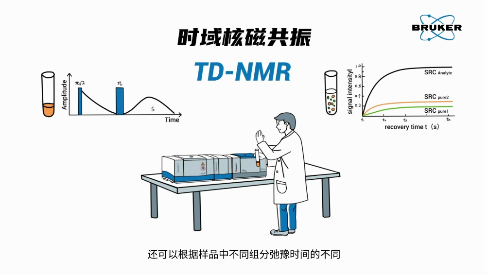 Bruker时域核磁共振TD-NMR