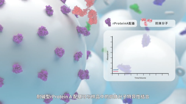 纳微Protein A 亲和层析介质